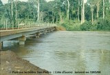 Pont sur la rivière San Pedro   (affaire Quiquerez-de Segonzac. 1891-1893)